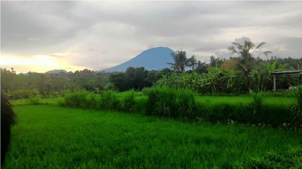Pondok Intaran Karangasem  Bagian luar foto